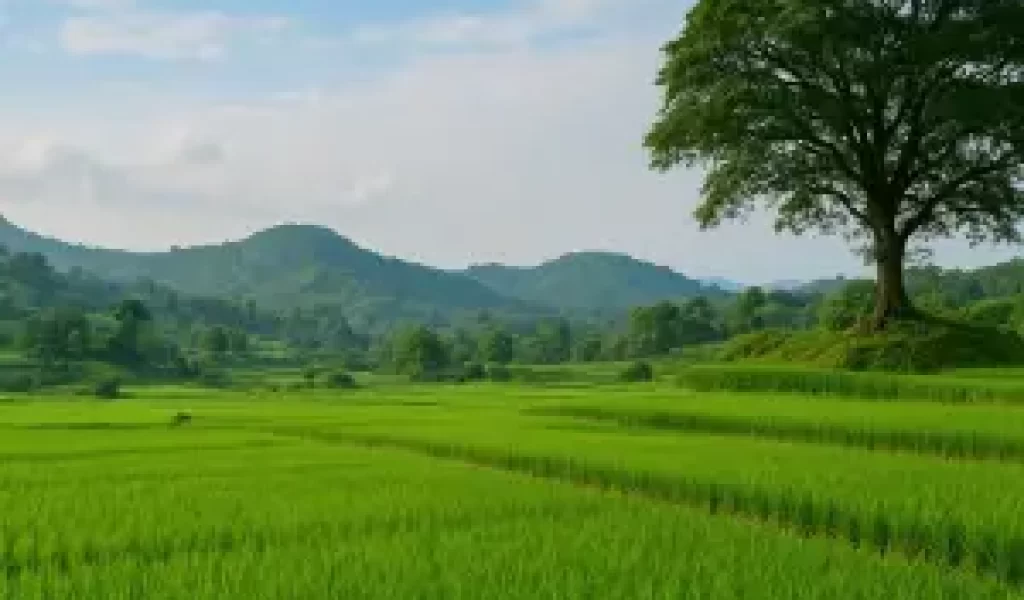 randudongkal-pemalang